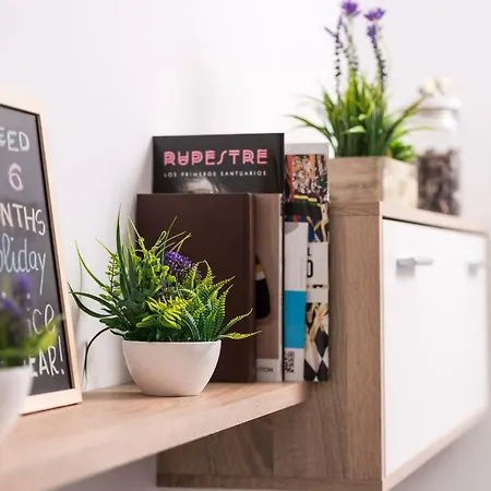 Apartamento The Cozy Place -alicante-