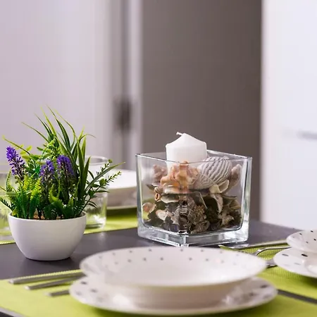 The Cozy Place -alicante- *